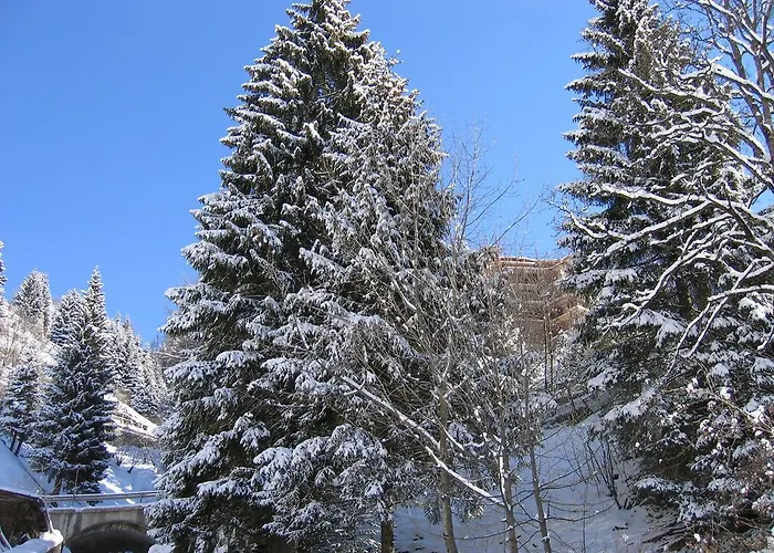 Hotel Rododendro 3*